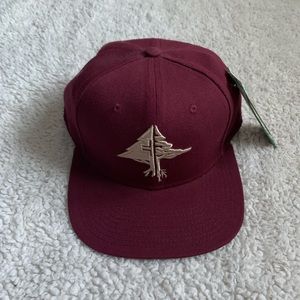 LRG Six Panel SnapBack